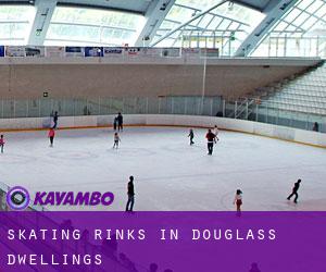 Skating Rinks in Douglass Dwellings