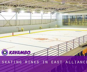 Skating Rinks in East Alliance