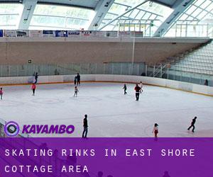 Skating Rinks in East Shore Cottage Area