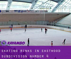 Skating Rinks in Eastwood Subdivision Number 4