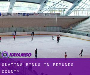 Skating Rinks in Edmunds County