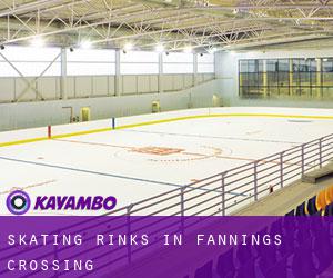 Skating Rinks in Fannings Crossing