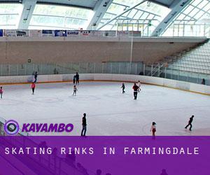 Skating Rinks in Farmingdale