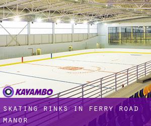 Skating Rinks in Ferry Road Manor