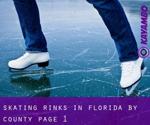 Skating Rinks in Florida by County - page 1