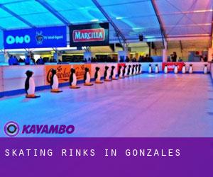 Skating Rinks in Gonzales