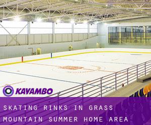 Skating Rinks in Grass Mountain Summer Home Area