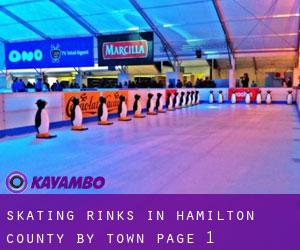 Skating Rinks in Hamilton County by town - page 1