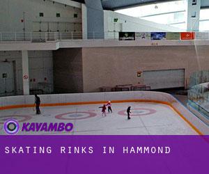 Skating Rinks in Hammond