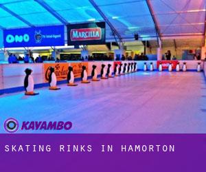 Skating Rinks in Hamorton