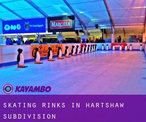 Skating Rinks in Hartshaw Subdivision