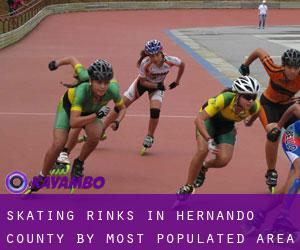 Skating Rinks in Hernando County by most populated area - page 1