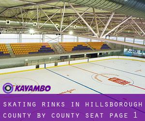 Skating Rinks in Hillsborough County by county seat - page 1