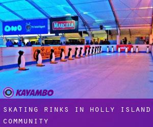 Skating Rinks in Holly Island Community