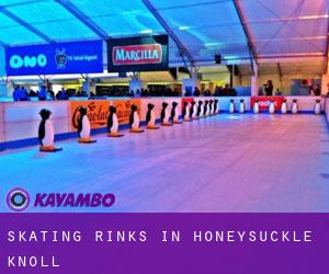 Skating Rinks in Honeysuckle Knoll