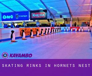 Skating Rinks in Hornets Nest Skating Rinks in Hornets Nest