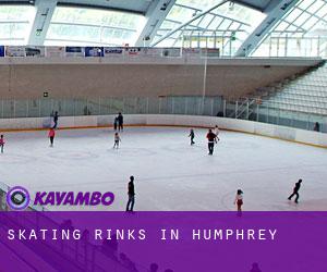 Skating Rinks in Humphrey Skating Rinks in Humphrey