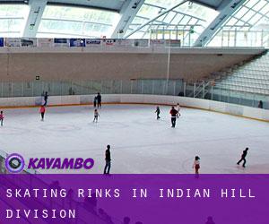 Skating Rinks in Indian Hill Division