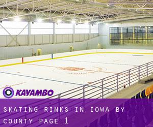 Skating Rinks in Iowa by County - page 1