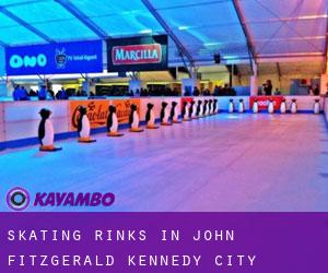 Skating Rinks in John Fitzgerald Kennedy City