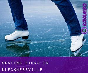 Skating Rinks in Klecknersville