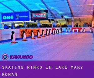 Skating Rinks in Lake Mary Ronan