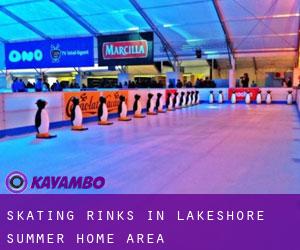 Skating Rinks in Lakeshore Summer Home Area