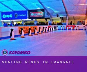 Skating Rinks in Lawngate