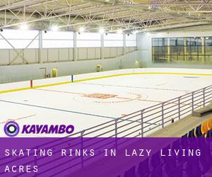 Skating Rinks in Lazy Living Acres