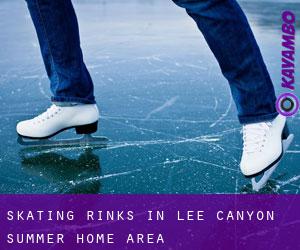 Skating Rinks in Lee Canyon Summer Home Area