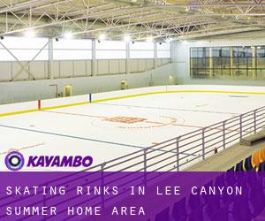 Skating Rinks in Lee Canyon Summer Home Area