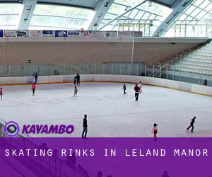 Skating Rinks in Leland Manor