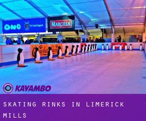Skating Rinks in Limerick Mills