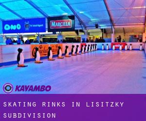 Skating Rinks in Lisitzky Subdivision