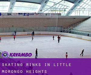 Skating Rinks in Little Morongo Heights