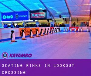 Skating Rinks in Lookout Crossing
