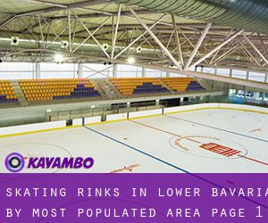 Skating Rinks in Lower Bavaria by most populated area - page 1