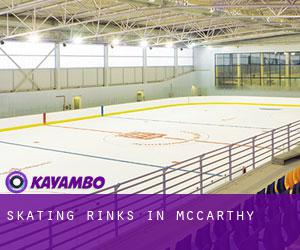Skating Rinks in McCarthy