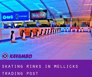 Skating Rinks in Mellicks Trading Post
