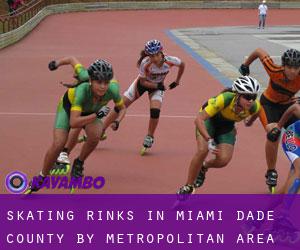 Skating Rinks in Miami-Dade County by metropolitan area - page 3