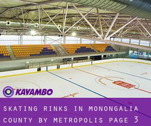 Skating Rinks in Monongalia County by metropolis - page 3