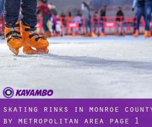 Skating Rinks in Monroe County by metropolitan area - page 1