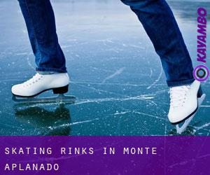 Skating Rinks in Monte Aplanado