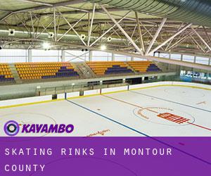 Skating Rinks in Montour County