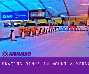 Skating Rinks in Mount Alverno