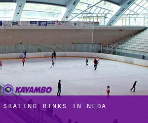 Skating Rinks in Neda