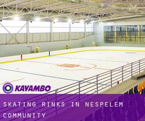 Skating Rinks in Nespelem Community