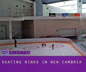 Skating Rinks in New Cambria