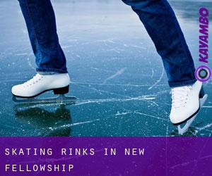 Skating Rinks in New Fellowship