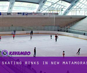 Skating Rinks in New Matamoras